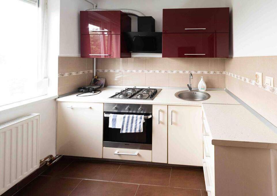 Apartament Timisoara Leilighet Eksteriør bilde